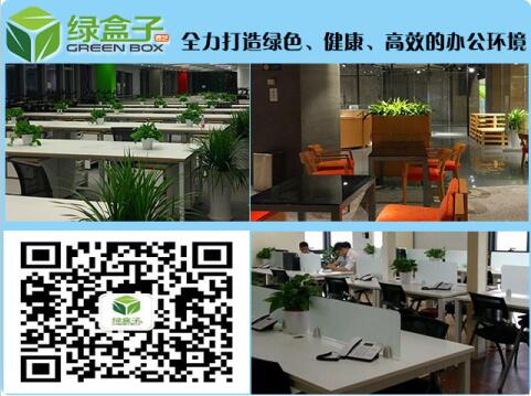 室內(nèi)擺什么植物好,室內(nèi)植物擺放你知道多少