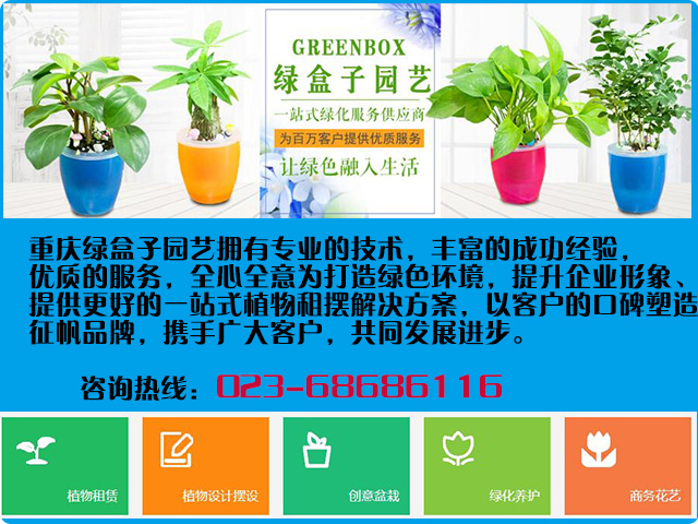 重慶江北植物租賃哪家好，選擇植物出租公司應該看那些方面