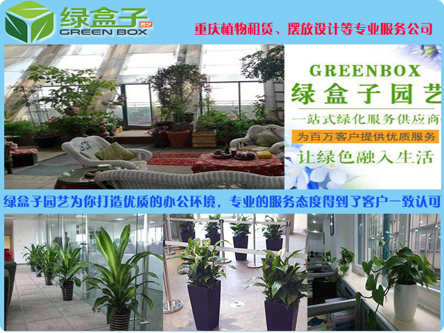 重慶江北植物租賃哪家好，選擇植物出租公司應該看那些方面