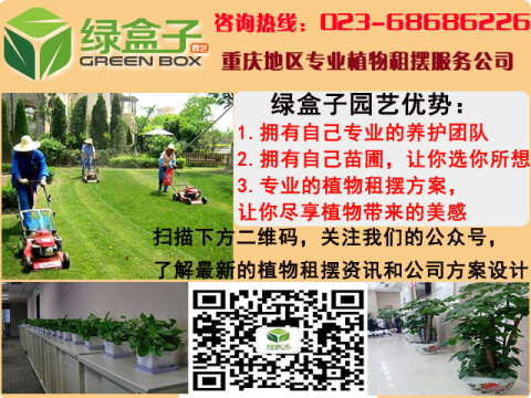 花卉植物養(yǎng)護主要從三個方面入手