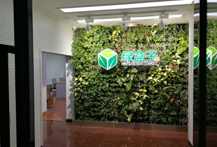 植物租用怎么收費(fèi)，重慶植物租賃公司選哪家好