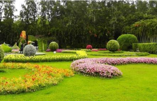 園林綠植養(yǎng)護.png