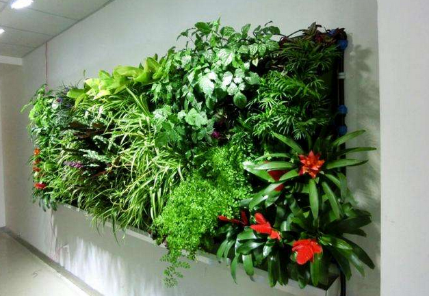 植物綠墻.png