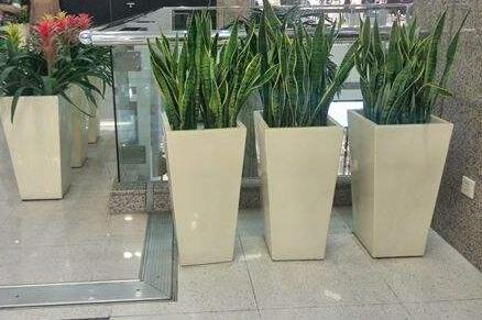 植物租賃.jpg