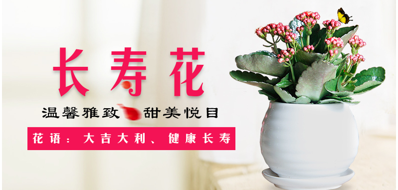 QQ截圖20200723162224.png
