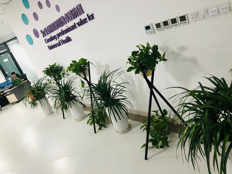 問(wèn)創(chuàng)檢驗(yàn)植物0301-(7).jpg