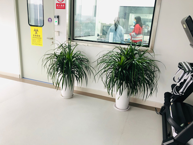 問(wèn)創(chuàng)檢驗(yàn)植物0301-(4).jpg